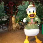 Donald Duck Animal Kingdom 2012