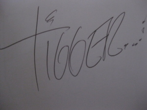 tigger autograph | KennythePirate.com