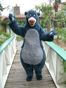 Disneyland Paris, Characters, Baloo, Jungle Book, Meet and Greet