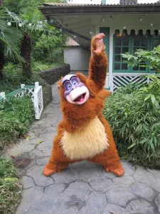 Disneyland Paris, Characters, King Louie, Jungle Book, Meet and greet