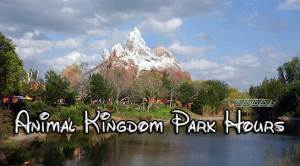 Disney's Animal Kingdom finally updates park hours! - KennythePirate.com