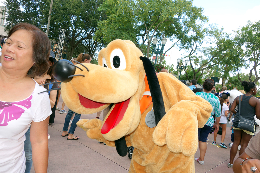 Pluto Dancing at Hollywood Studios Character Dance Jam 2013 ...