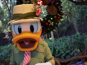 Walt Disney World, Animal Kingdom, Christmas 2013, Camp Minnie Mickey, Donald Duck