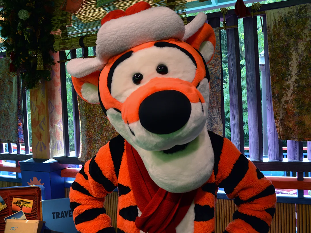 Walt Disney World, Animal Kingdom, Christmas 2013, Meet and Greet, Tigger