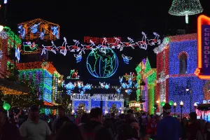 Walt Disney World, Hollywood Studios, Osborne Family Spectacle of Dancing Lights, Christmas Lights