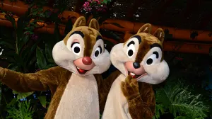 Walt Disney World, Animal Kingdom, Character Changes, January 2014, Chip n Dale