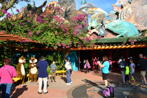 Walt Disney World, Animal Kingdom, Character Changes, January 2014, Chip n Dale