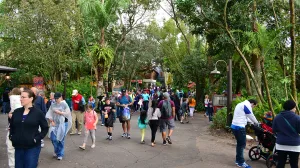 Walt Disney World, Animal Kingdom, Character Changes, January 2014, Baloo and King Louie