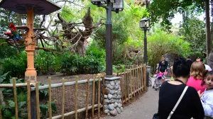 Walt Disney World, Animal Kingdom, Character Changes, January 2014,