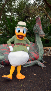 Walt Disney World, Animal Kingdom, Character Changes, January 2014, Donald Duck, Cretaceous Trail