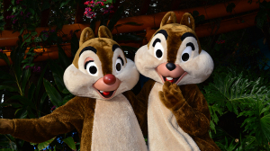 Walt Disney World, Animal Kingdom, Character Changes, January 2014, Chip n Dale