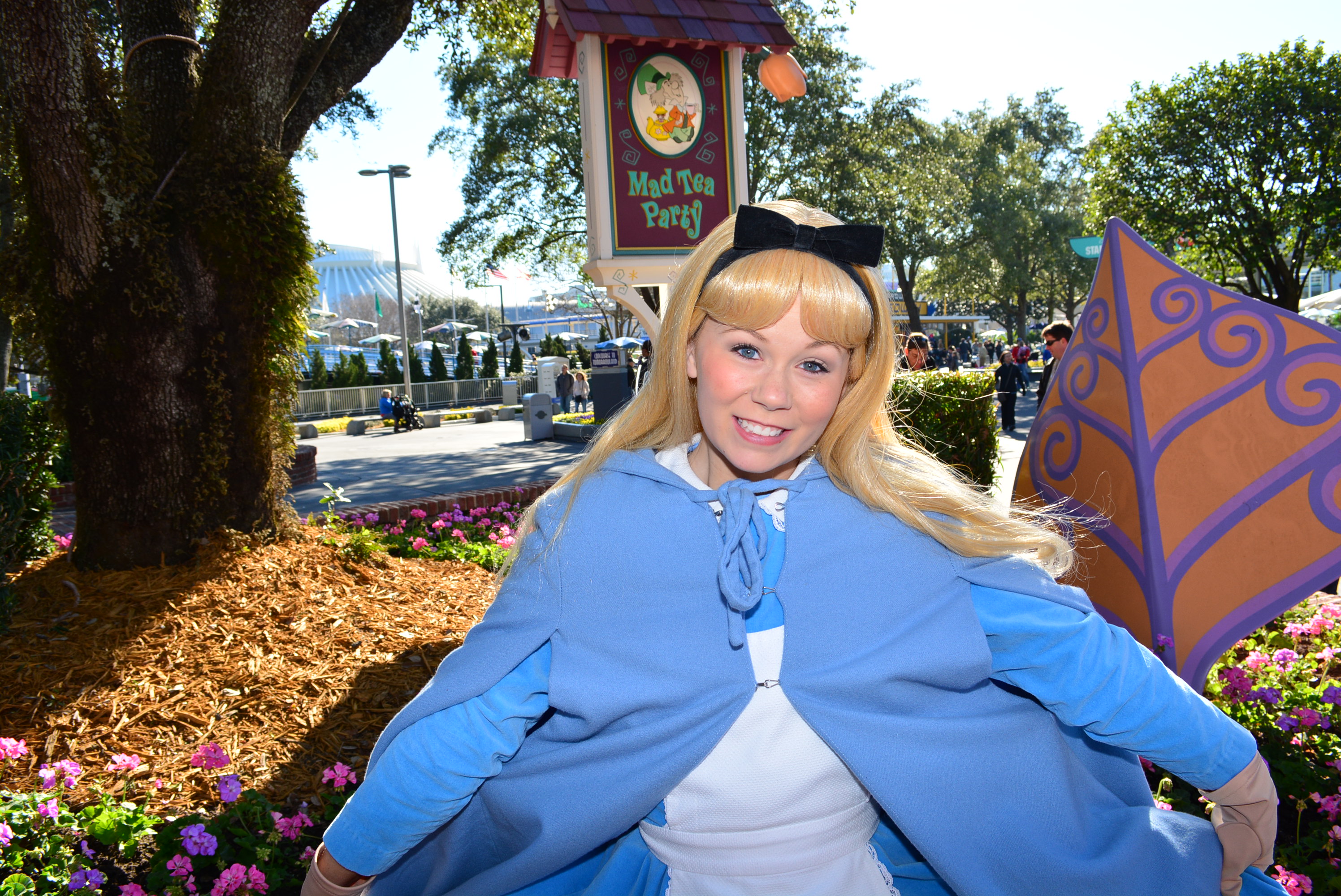 Alice In Wonderland In Her Winter Costume At The Magic Kingdoms 