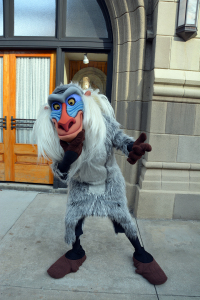 Disney's Hollywood Studios Character Palooza Rafiki