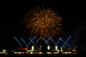 Frozen Fireworks at Disney's Hollywood Studios August 2014