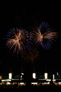 Frozen Fireworks at Disney's Hollywood Studios August 2014