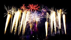 Wishes Fireworks at the Magic Kingdom in Disney World August 2014