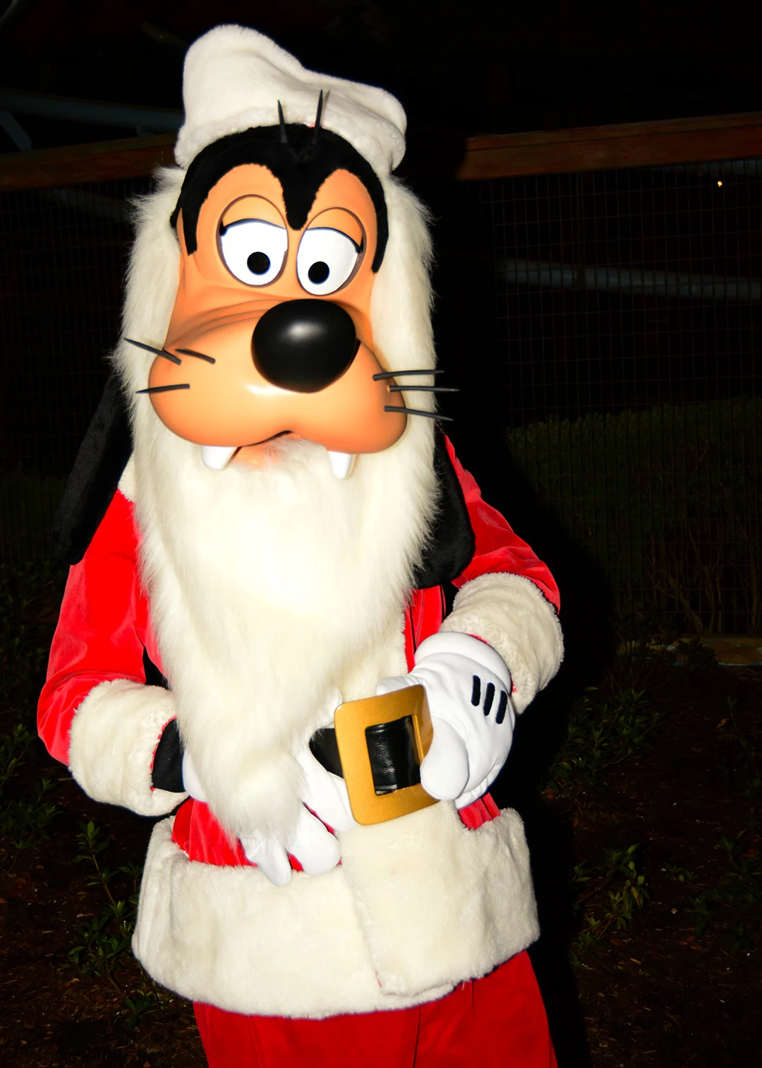 Mickey's Very Merry Christmas Party at Walt Disney World Magic Kingdom November 2014 (83)