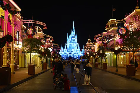 Mickey's Very Merry Christmas Party at Walt Disney World Magic Kingdom November 2014 (97)