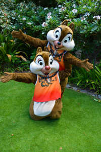 Chip n Dale at the Halawai Lawn at Disney's Aulani in Oahu Hawaii