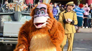 Stars n Cars Meet and Greet Disneyland Paris Disney Studios Paris King Louie