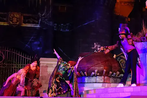 Hocus Pocus Villain Spelltacular at Mickey's Not So Scary Halloween Party 2015 (12)