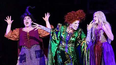 Hocus Pocus Villain Spelltacular at Mickey's Not So Scary Halloween Party 2015 (34)