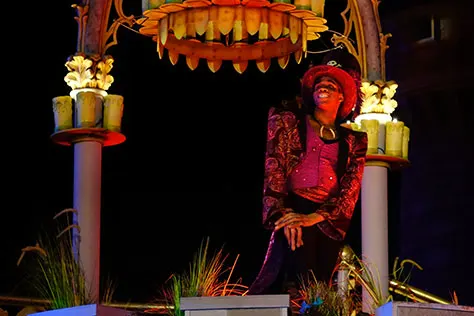 Hocus Pocus Villain Spelltacular at Mickey's Not So Scary Halloween Party 2015 (8)