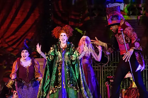 Hocus Pocus Villain Spelltacular at Mickey's Not So Scary Halloween Party 2015 (9)