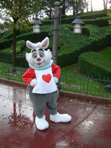 White Rabbit Disneyland Paris