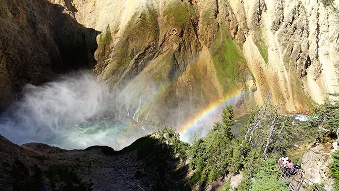 Yellowstone Day 5 Lower Falls from Uncle Tom's Trail