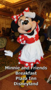 Minnie and Friends Breakfast in the Park at the Plaza Inn Disneyland