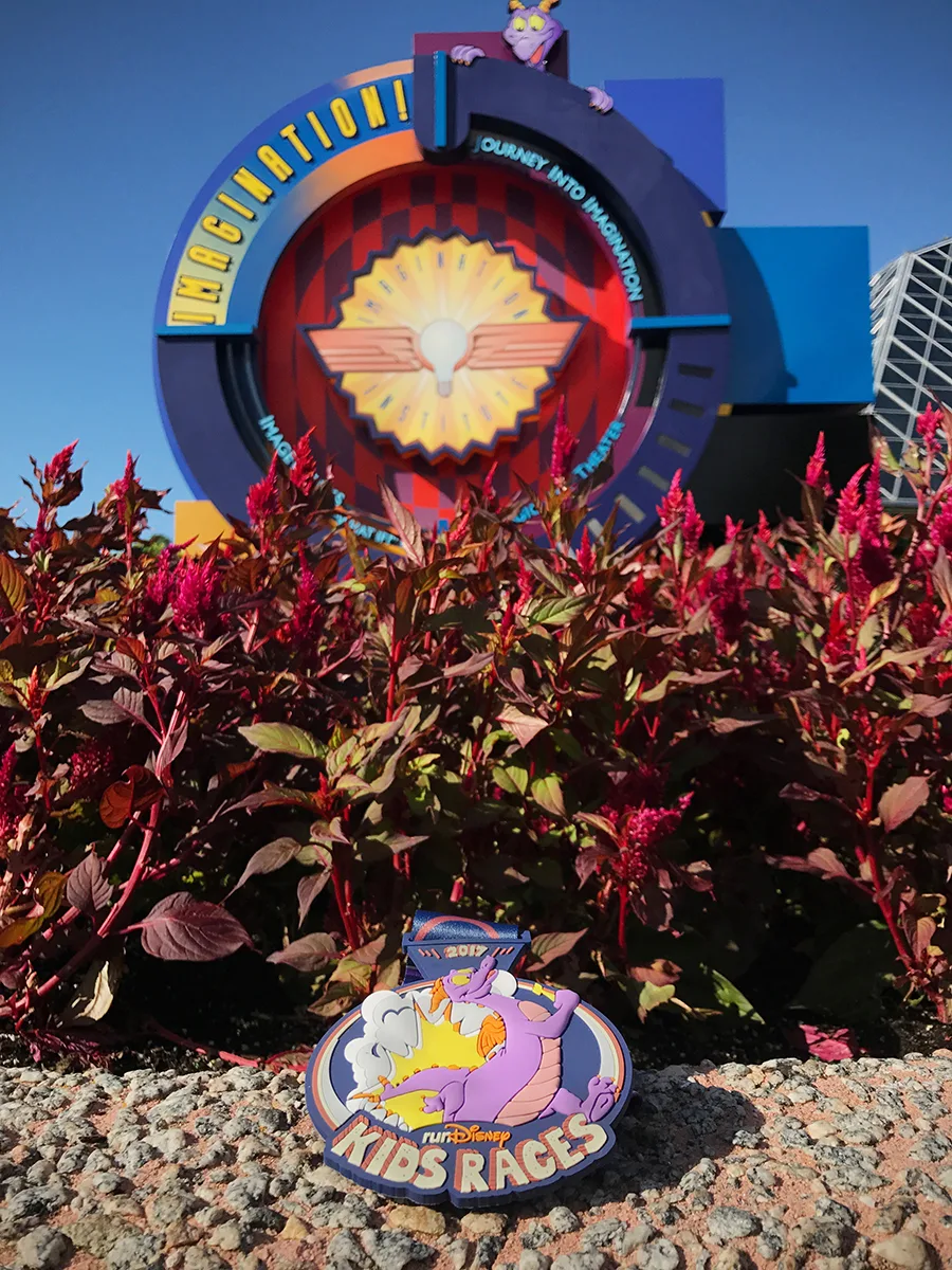 2017 runDisney Wine and Dine Race Medals