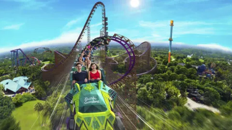 NEW ROLLER COASTERS ICE BREAKER AND IRON GWAZI AMPLIFY THRILLS