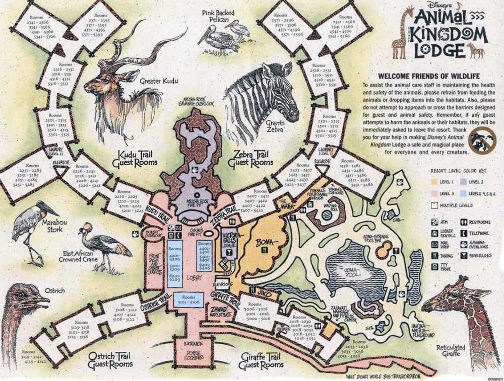 Animal Kingdom Lodge Kidani Village Resort Map KennythePirate Com   Animal Kingdom Lodge Jambo House Resort Map 