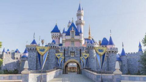 Disneyland Guests Now Must Confirm, Cancel, or Modify Reservation