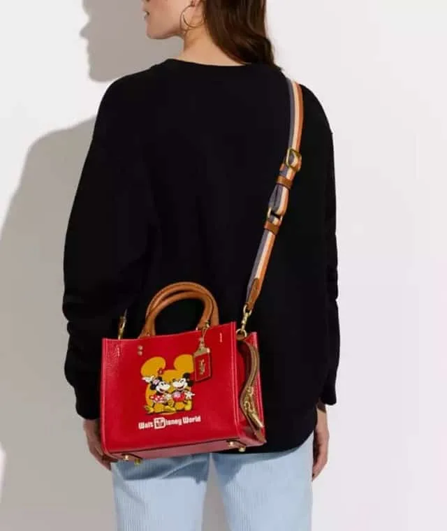 Disney and Coach Team up for a New Collection - KennythePirate.com