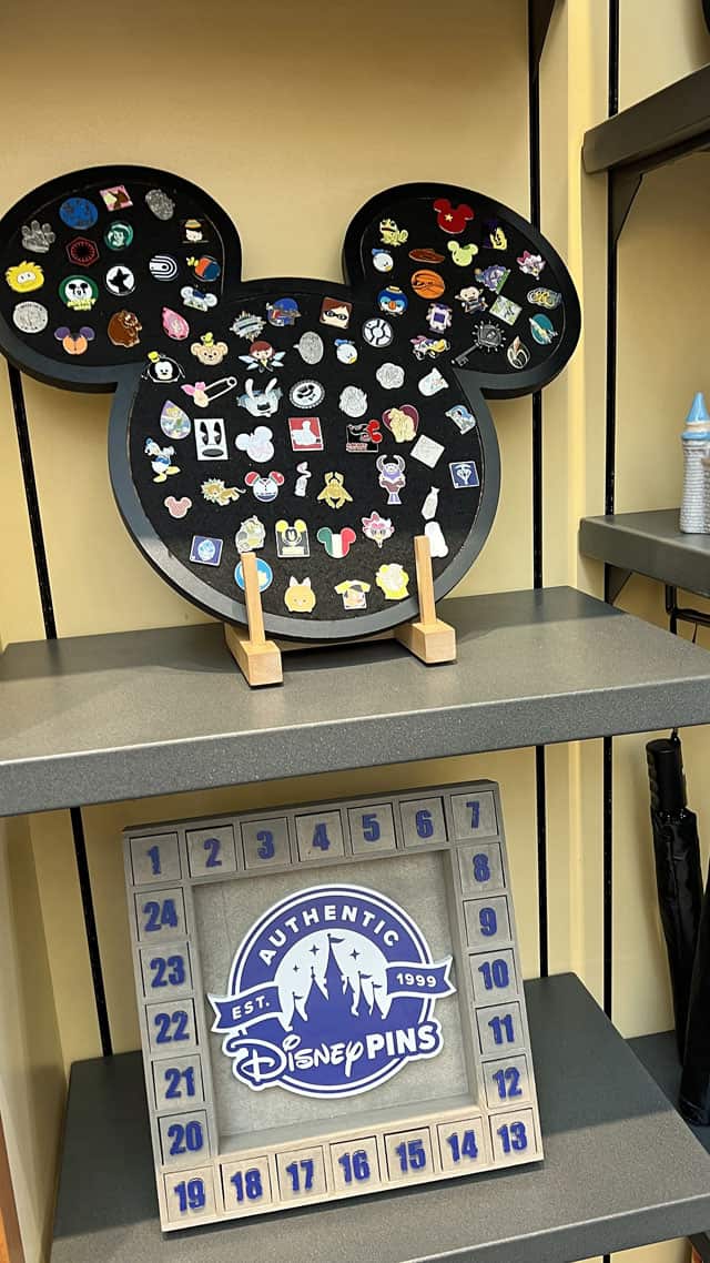 Guests Want Pin Traders Banned From Disney, Call Them Scammers 