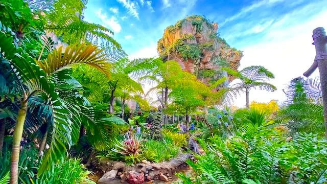 Watch These 5 Movies Before Visiting Disney's Animal Kingdom!