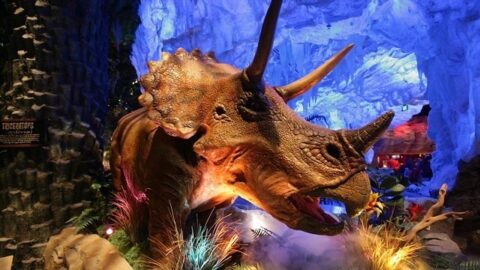 Are Disney World’s T-REX Restaurant and Dino-Store the best use of time and money?