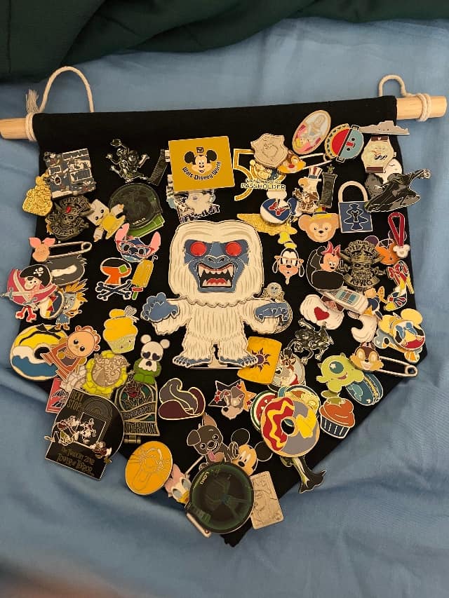 DISNEY PIN TRADING - HOW & WHY IT'S FUN TO TRADE - Have Wheelchair Will  Travel