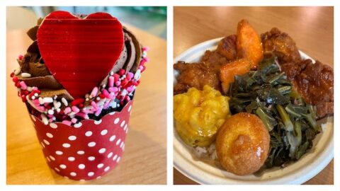 Recap and Review of Disney’s New Foods for February