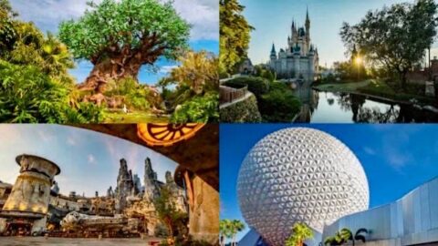 New: A major glitch is affecting Disney World guest plans