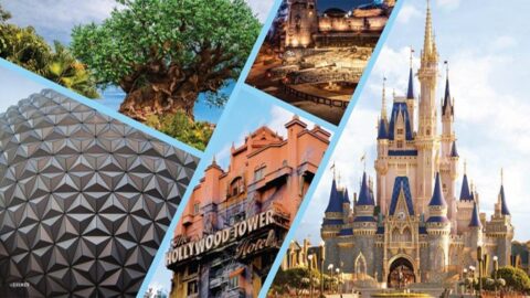 Should Families Skip Park Hopper on their First Disney Trip?