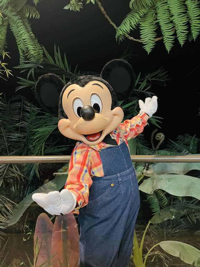 https://www.kennythepirate.com/wp-content/uploads/2023/06/Farmer-Mickey.jpg