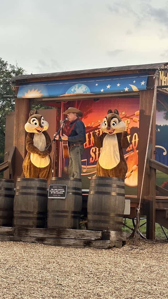 CHIP AND DALE CAMPFIRE 