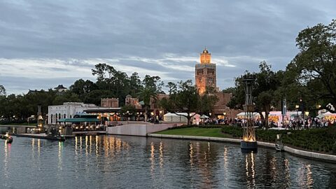 Video: Epcot Guest Jumps in the Lagoon for $6,000