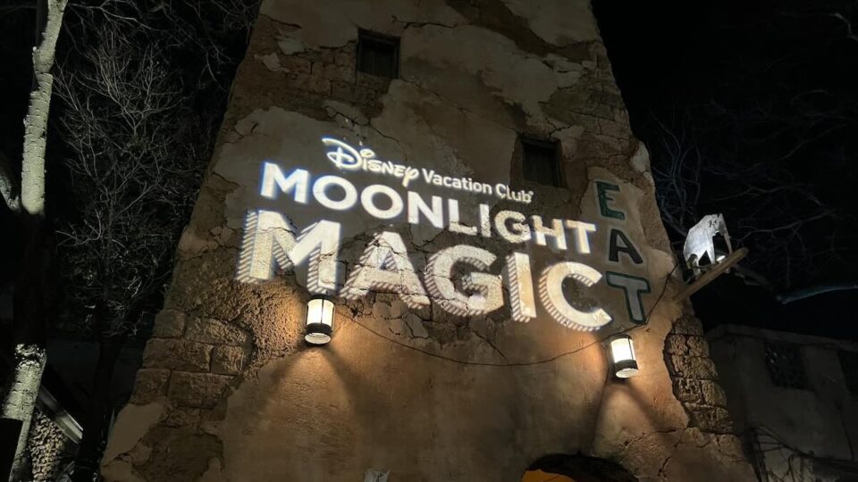 Review DVC Moonlight Magic at Disney's Animal Kingdom Park