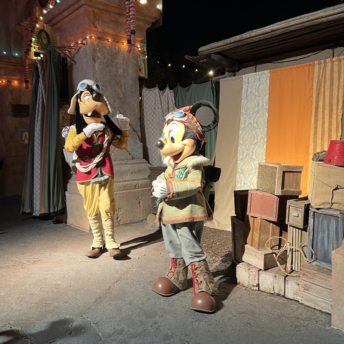 mickey and goofy dvc moonlight magic