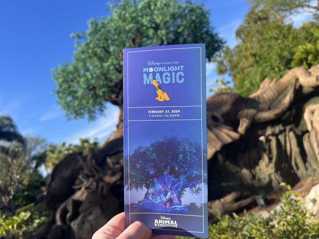 DVC Moonlight Magic 2025 Event Dates Revealed