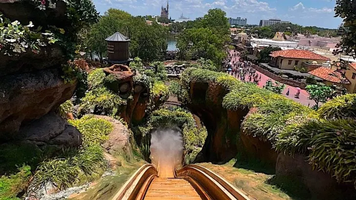 Special Opening Day Souvenir for Tiana's Bayou Adventure